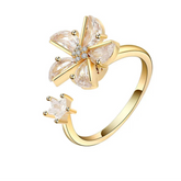 Ariya fidget jewelry polished surface - noble stress relief ring