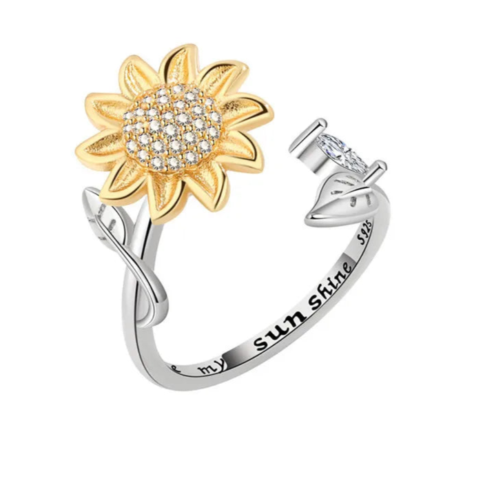 Ariya calm ring versatile style - noble fidget band