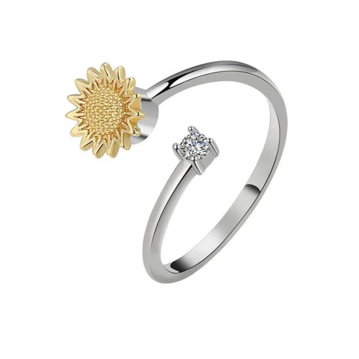 Ariya stress relief ring complete view - elegant fidget jewelry