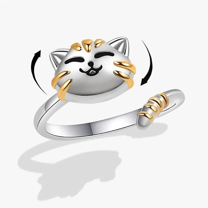 Aluna stress relief band angle - moonlight fidget ring