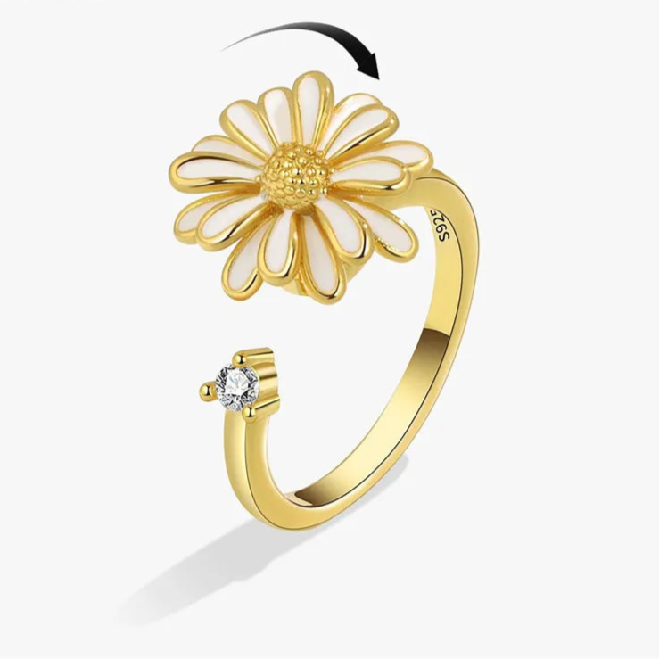 Ariya fidget band luxurious design - noble stress relief ring